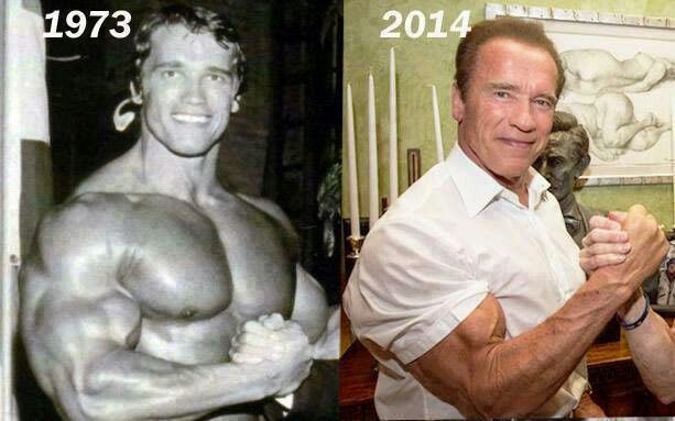 arnold muscle memory