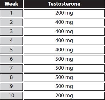 testosterone cycle